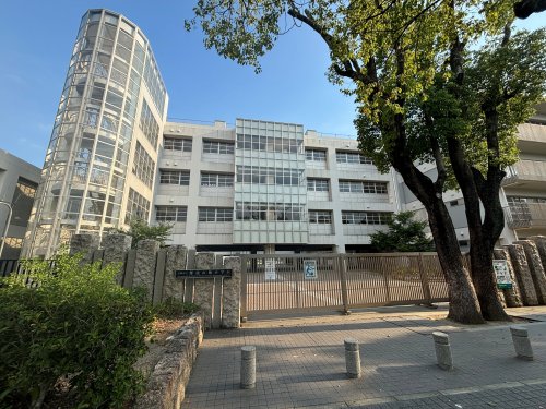 小学校　尼崎市立難波の梅小学校（小学校）まで293m