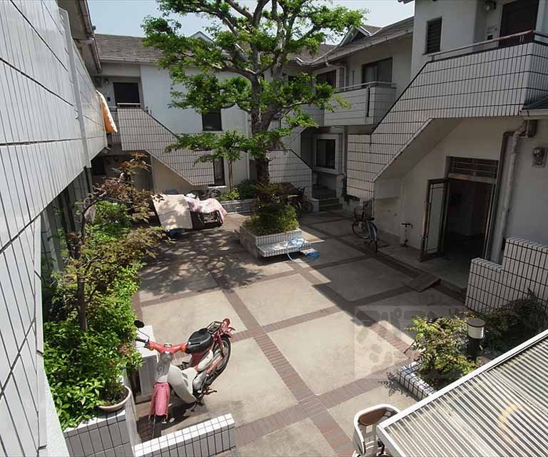庭
