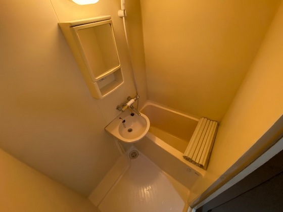 バス・シャワールーム　※別部屋の写真です