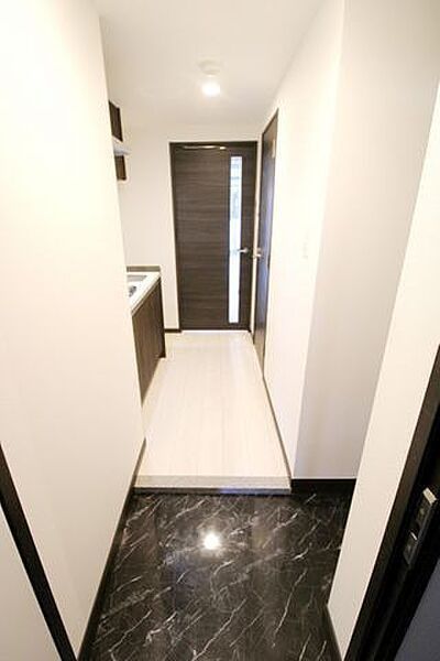 玄関　（別タイプ参考写真）ジェノヴィア板橋本町IIIスカイガーデン　板