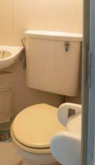 トイレ　トイレです