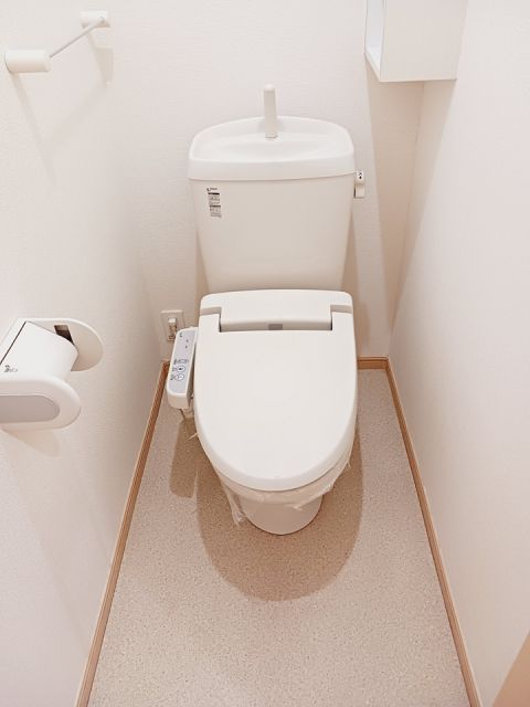 ＪＲ高崎線 熊谷駅 徒歩61分 2階建 築16年のトイレ写真