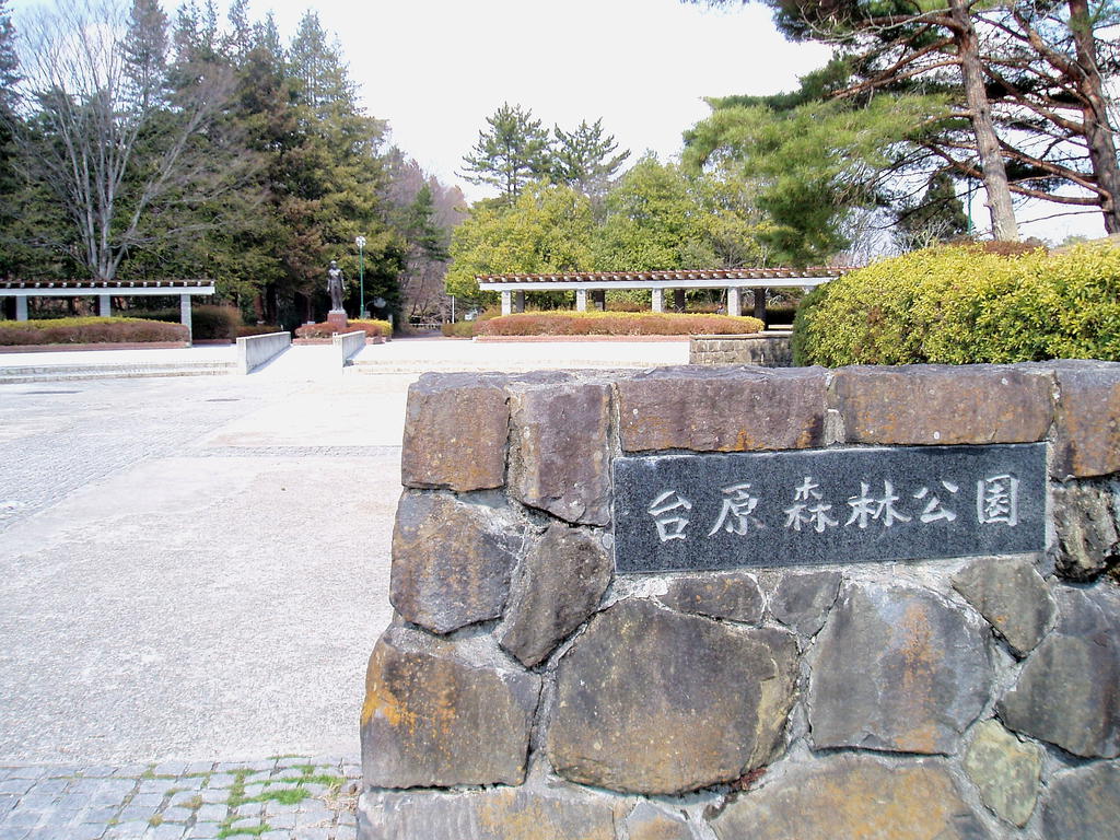 公園　台原森林公園（公園）まで736m