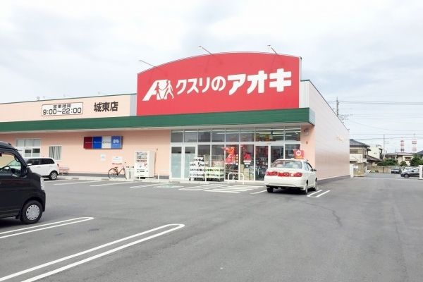 【前橋市城東町のアパートのドラックストア】