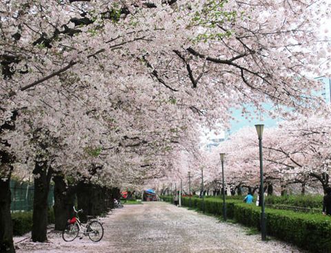 【大阪市都島区片町のアパートの公園】