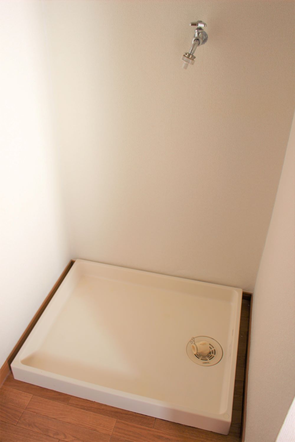 ジェントル矢沢_その他_0