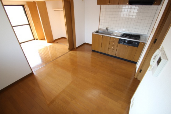 居室・リビング　※ほかの部屋の写真です。