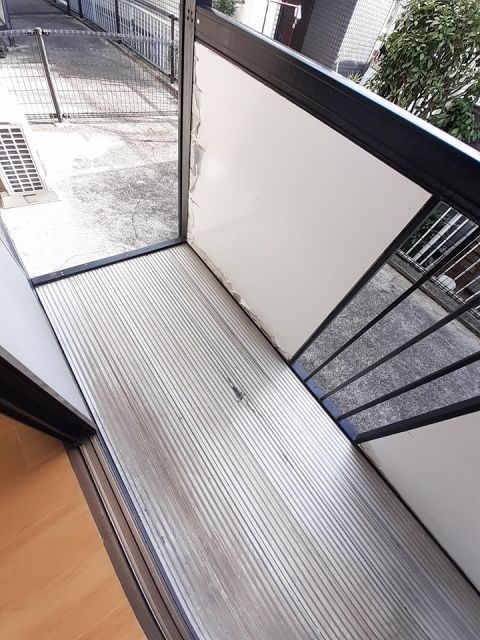 庭