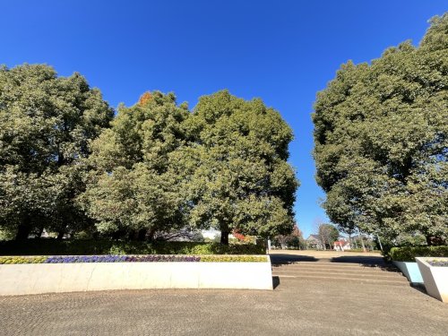 公園　文理台公園（公園）まで587m
