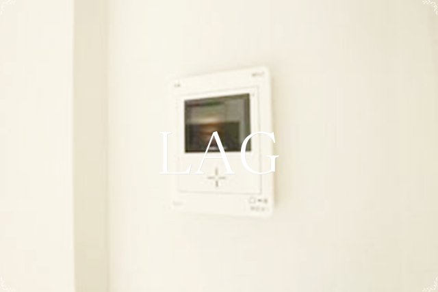 セキュリティ　TVモニターフォンです。