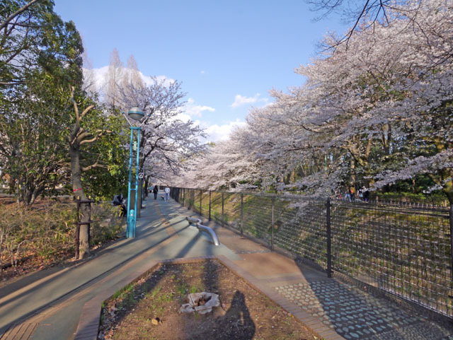 その他　弁天の森遊歩道（その他）まで120m