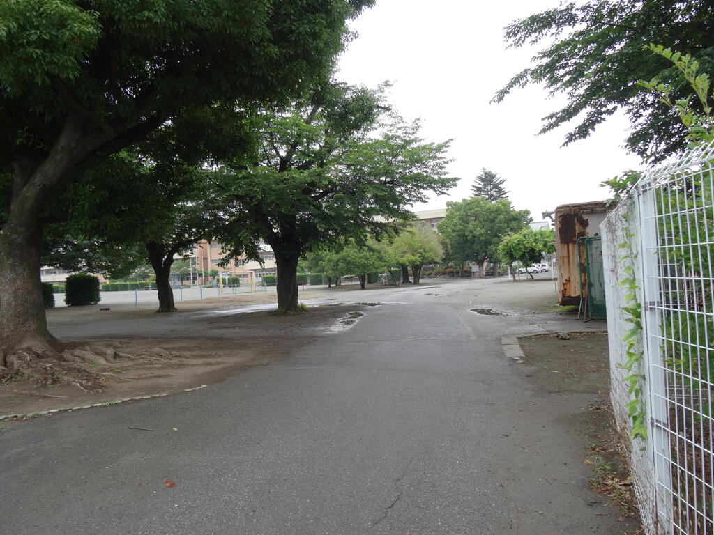小学校　藤岡市立藤岡第一小学校（小学校）まで734m