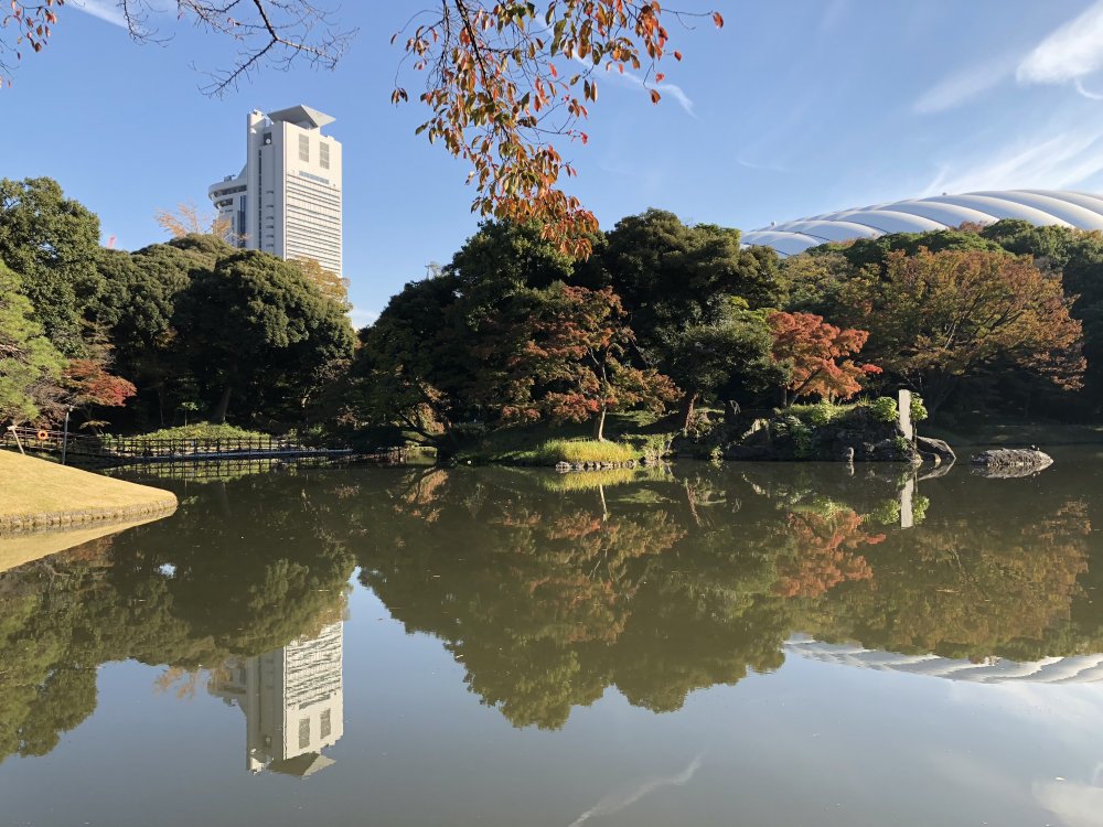 【シティコート神楽坂のその他】