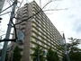 上所駅より徒歩17分 11階 築43年9ヶ月の賃貸物件