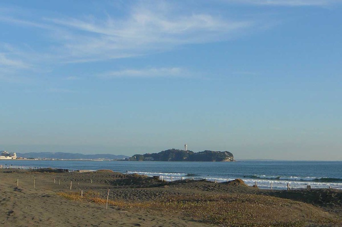 公園　辻堂海浜公園（公園）まで800m