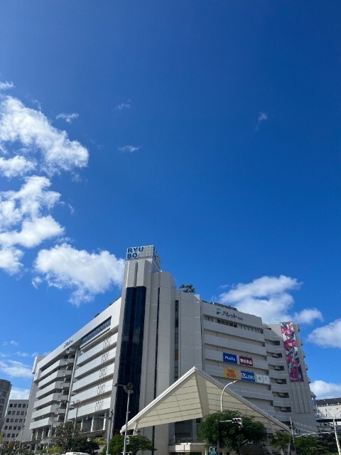 ショッピングセンター　デパートリウボウ（ショッピングセンター）まで3835m