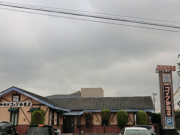 飲食店　コメダ珈琲（飲食店）まで50m