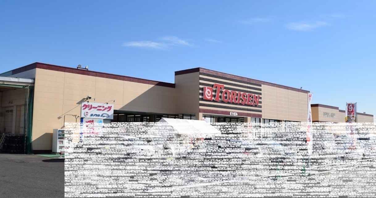 スーパー　とりせん玉村店（スーパー）まで1253m