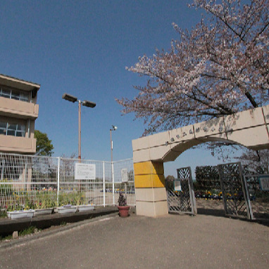 小学校　飯能市立美杉台小学校（小学校）まで784m