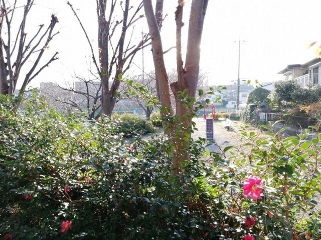 眺望　バルコニーからの眺めです