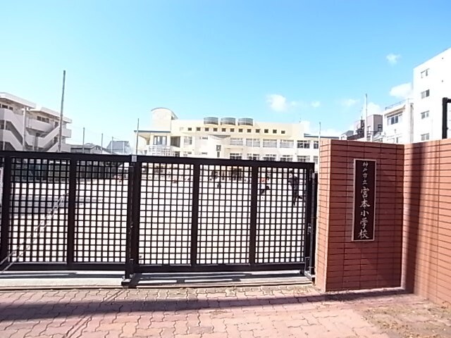 小学校　神戸市立宮本小学校（小学校）まで227m