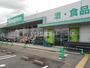 スーパー　エバグリーン 和佐店（スーパー）まで1704m
