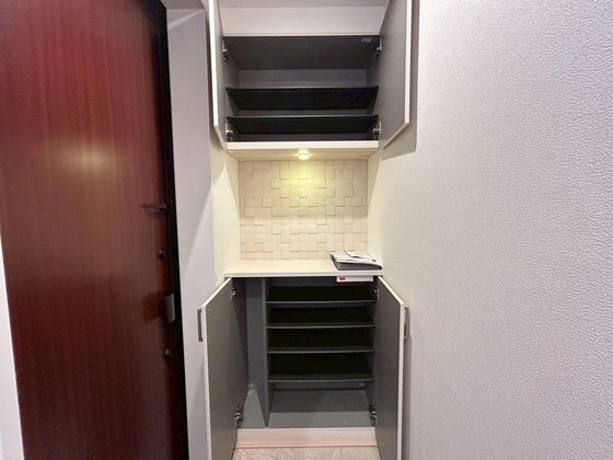 玄関　※別部屋の写真です