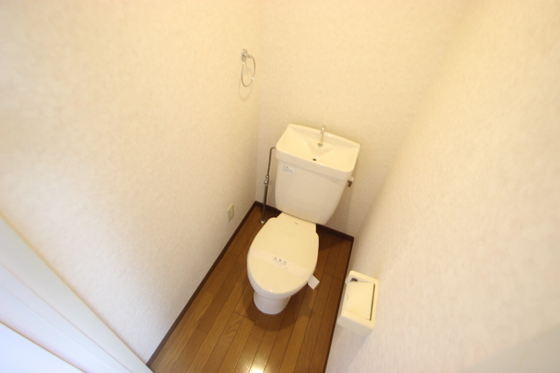 トイレ　※写真は別号室
