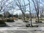 公園　美しの森公園（公園）まで215m