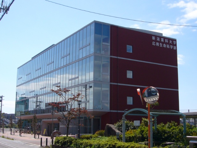 大学・短大　新潟薬科大（新津駅東）（大学・短大）まで560m