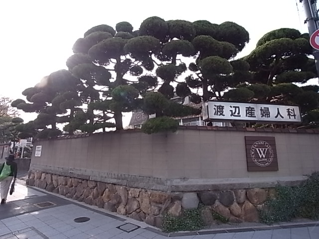 病院　渡邉産婦人科（病院）まで191m