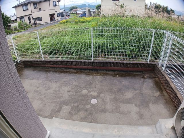 庭