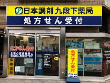 ドラックストア　日本調剤 九段下薬局（ドラッグストア）まで546m