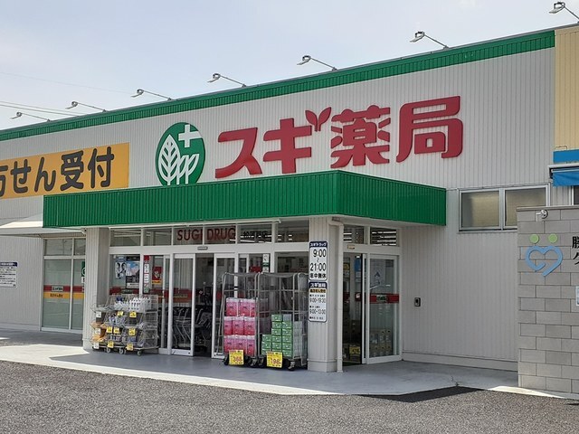 ドラックストア　スギドラッグ松河戸店（ドラッグストア）まで550m