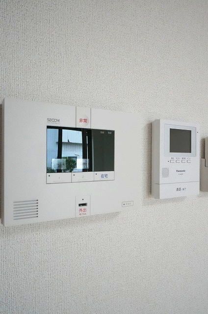 ベビーブルーアイズのその他写真