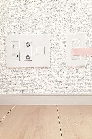 ベビーブルーアイズのその他写真