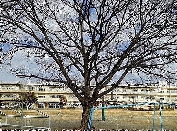 【フェリーチェ　Iの小学校】