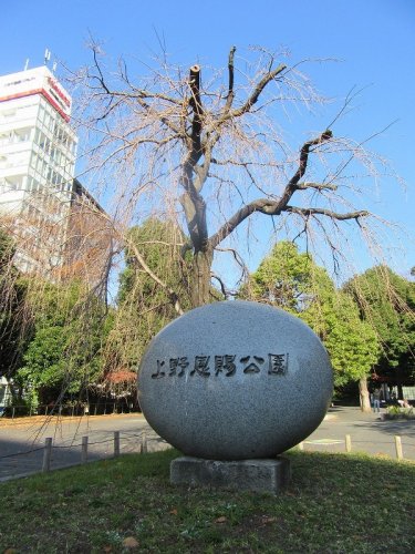 公園　上野恩賜公園（公園）まで1130m