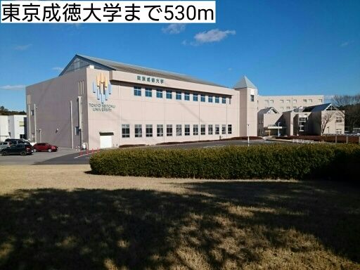 大学・短大　東京成徳大学（大学・短大）まで530m