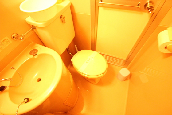 トイレ　※他の部屋です※