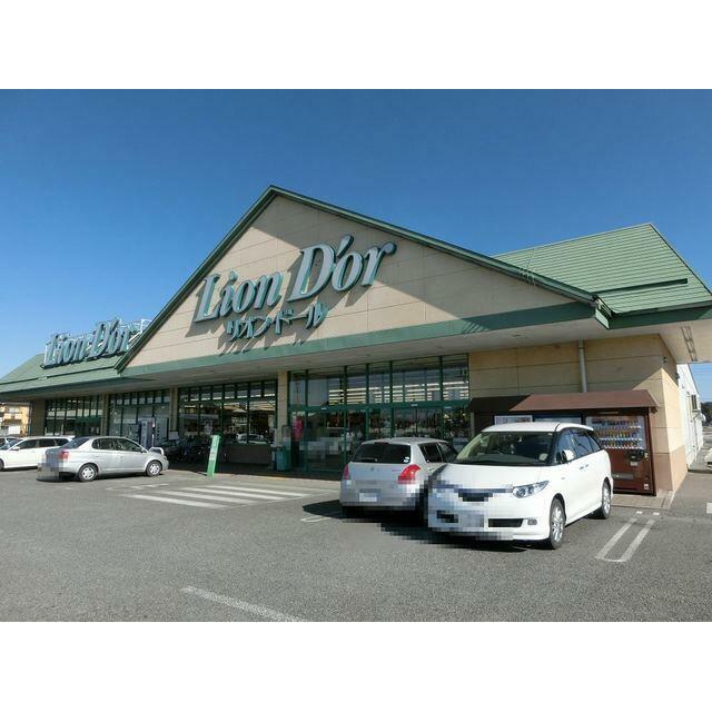 ショッピングセンター　リオン・ドール高根沢東店（ショッピングセンター）まで510m