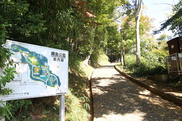 公園　綱島公園（公園）まで185m