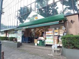 スーパー　マルエツ プチ 西大井駅前店（スーパー）まで732m