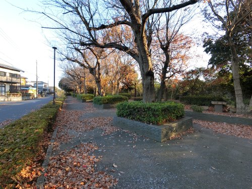 公園　北五井緑道（公園）まで433m