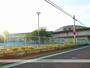 小学校　鹿嶋市立鹿島小学校（小学校）まで565m