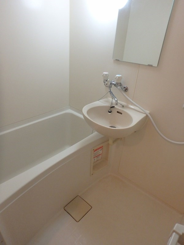 洗面設備　写真は同型タイプ