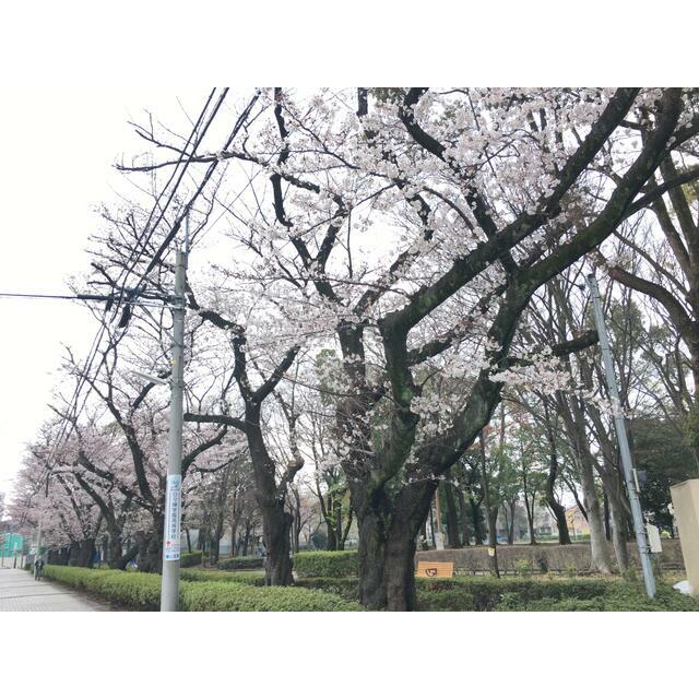 公園　東柏ケ谷近隣公園（公園）まで452m