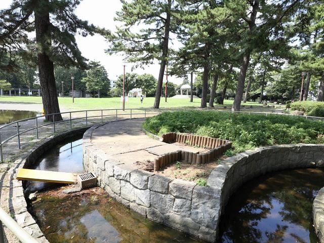 公園　相模大野中央公園（公園）まで530m