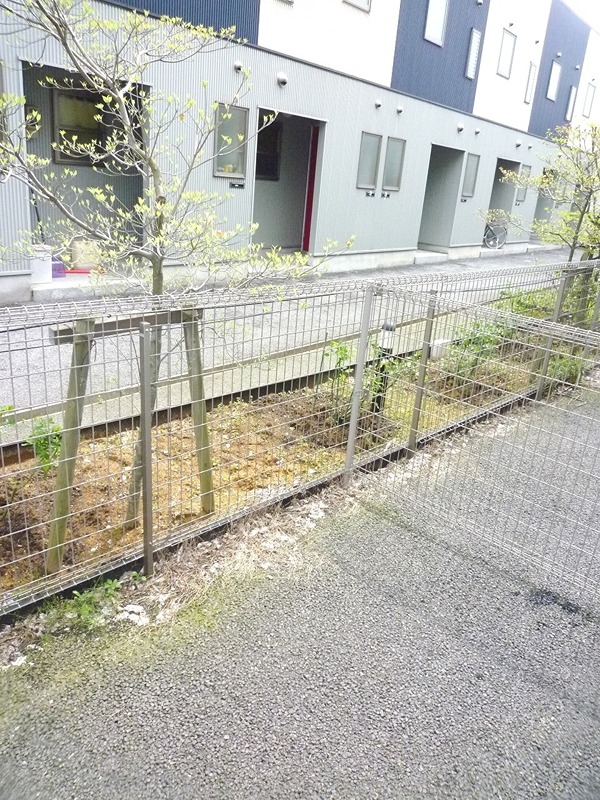 庭