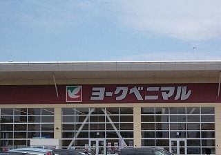 スーパー　ヨークベニマル新田東店（スーパー）まで1700m